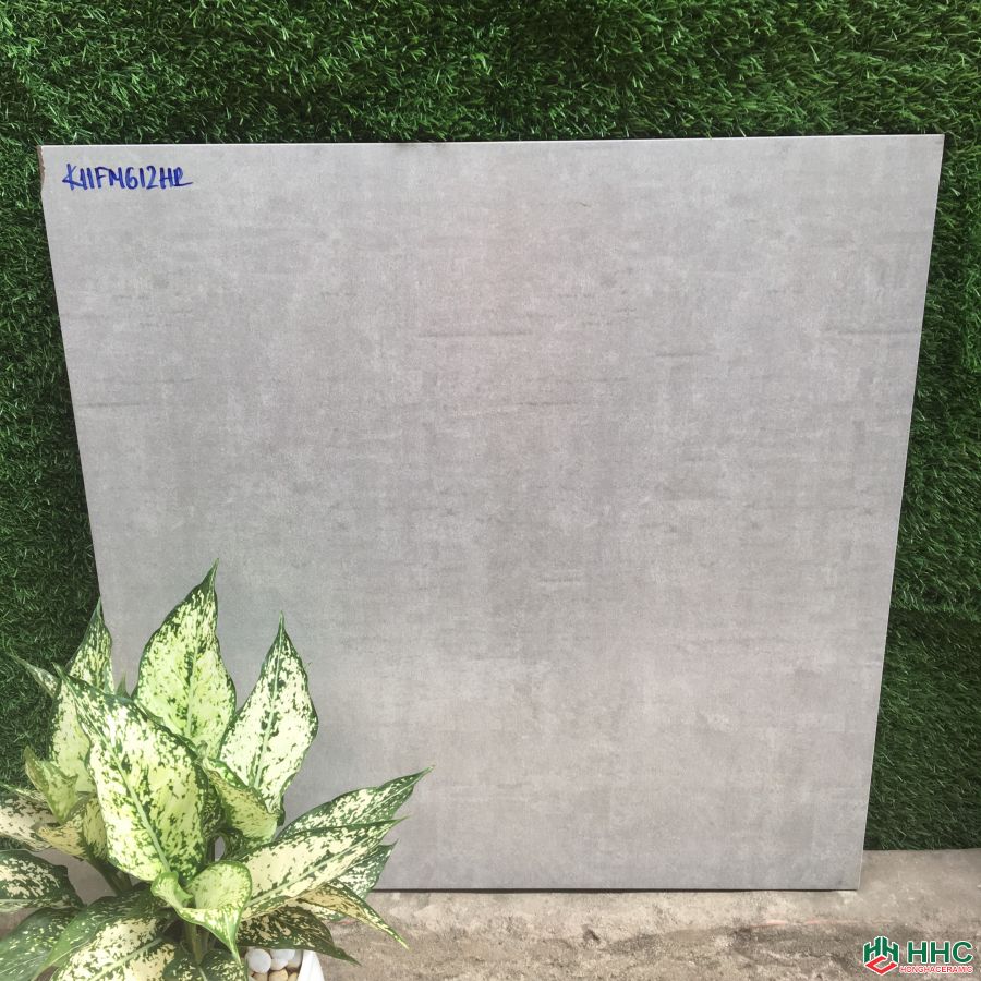 GẠCH LÁT NỀN 60X60  612